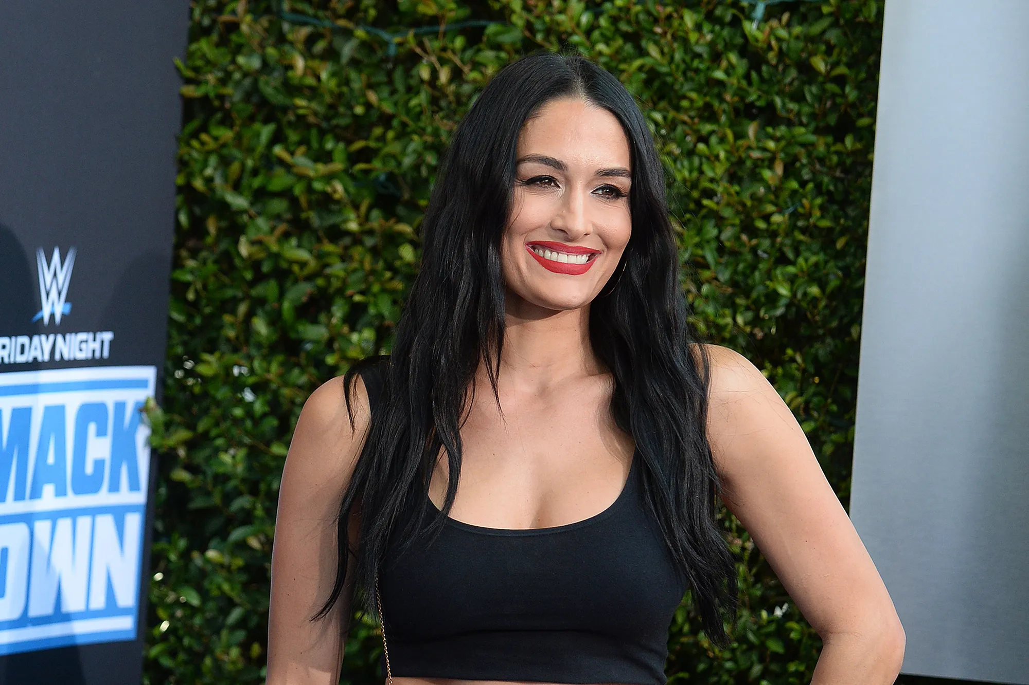 nikki bella concealer