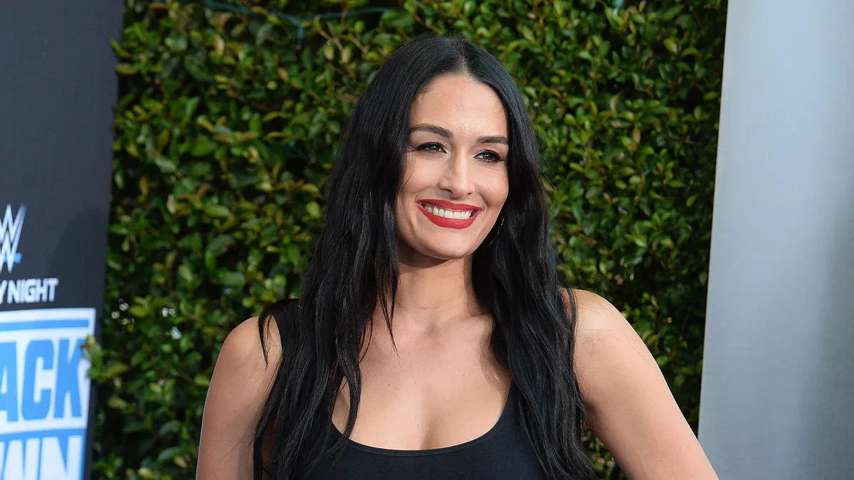 nikki bella concealer