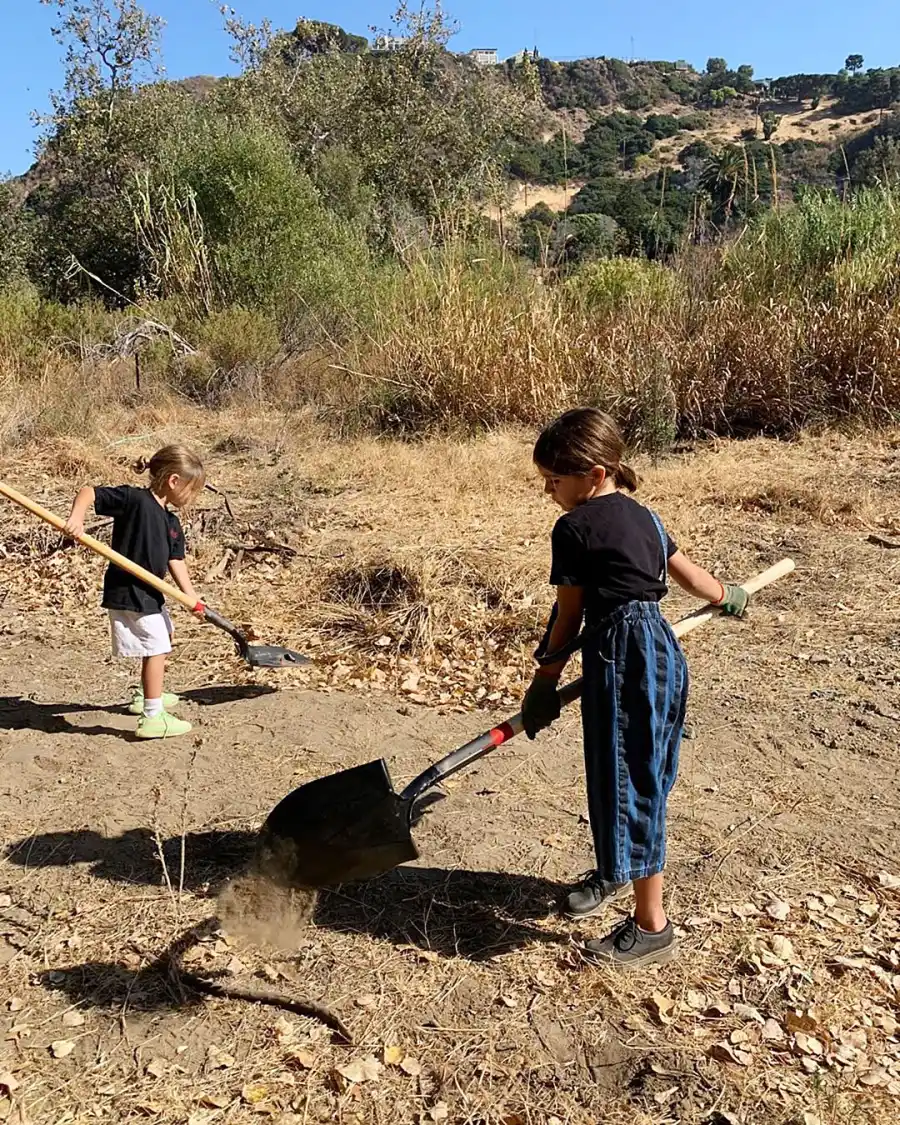 Reign Album Planting With Purpose