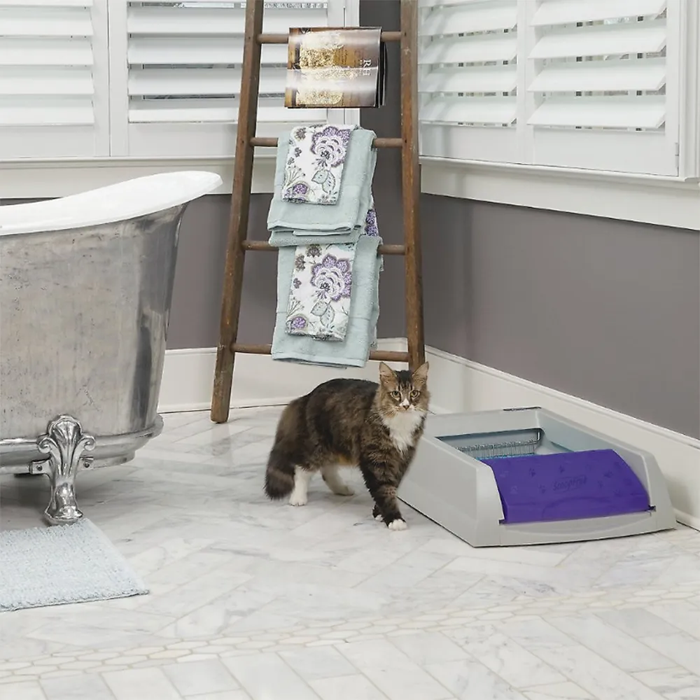 PetSafe ScoopFree Original Automatic Cat Litter Box