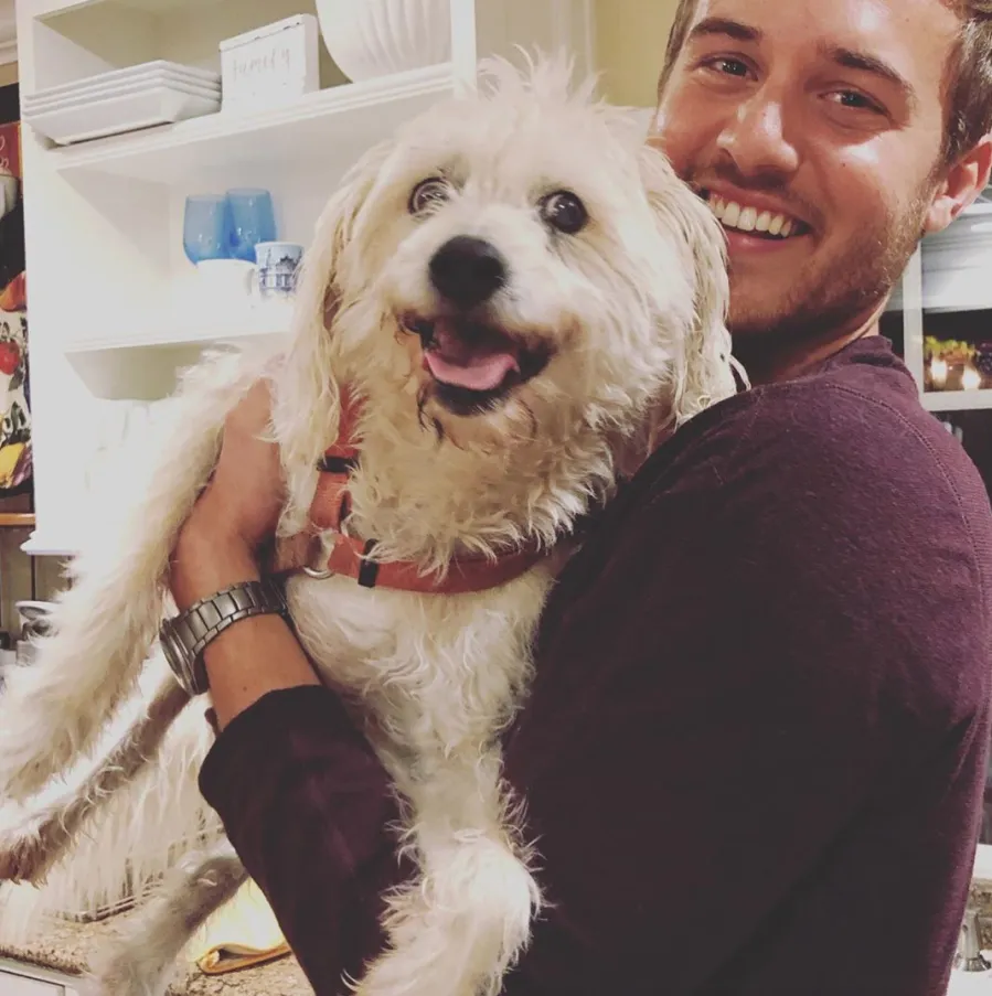 Peter Weber hottest moments