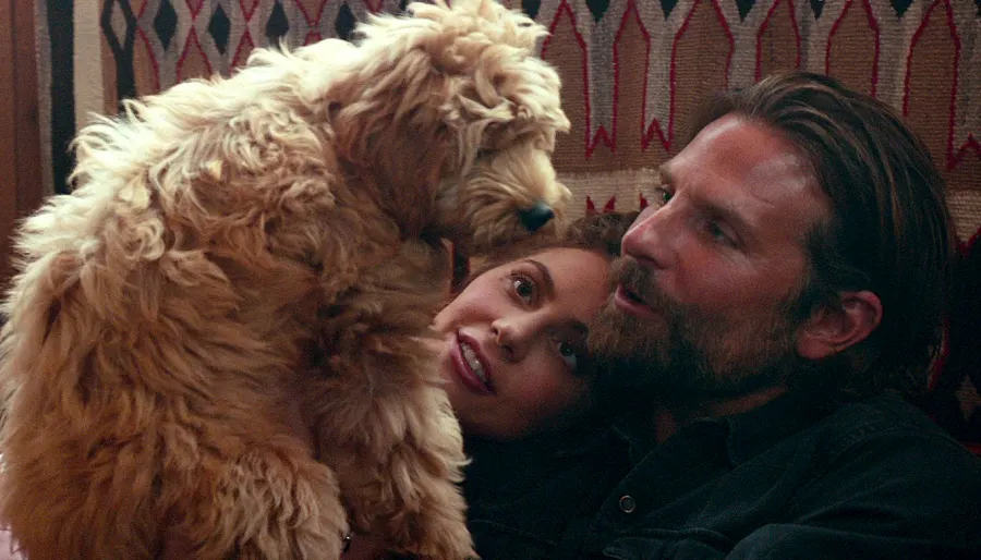 Bradley-Cooper-&-Charlie---A-Star-Is-Born