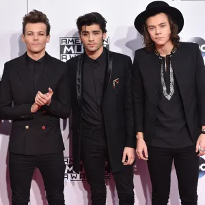 Breaking Down the One Direction Guys’ Solo Careers by the Numbers