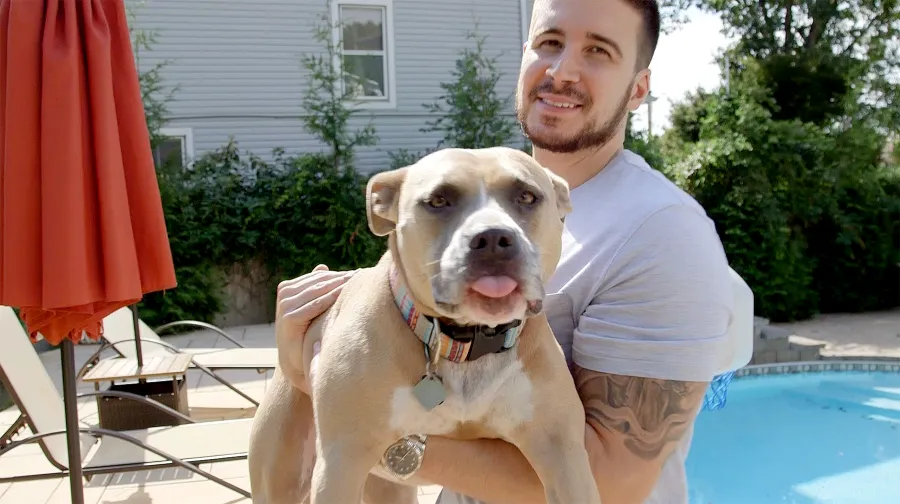 Celebs Whose Dogs Helped Them Through Dark Times