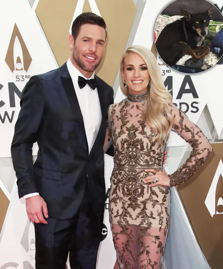 Celebs Whose Dogs Were Featured in Their Weddings