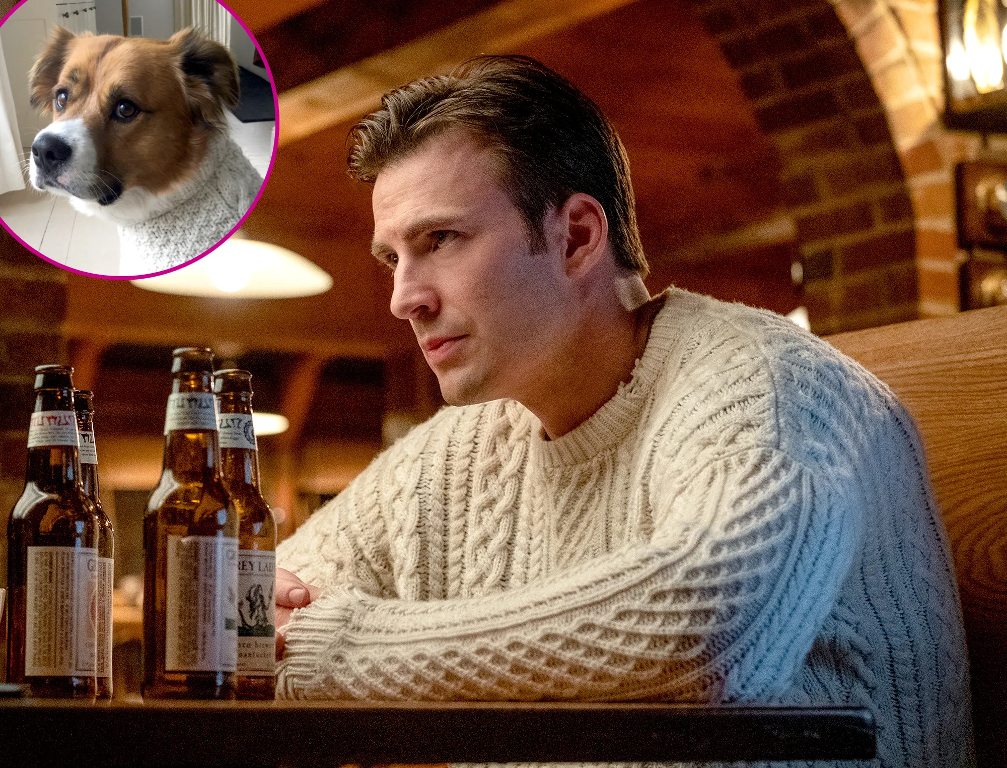 Chris Evans Knives Out Sweater dog