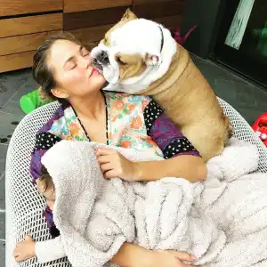 Chrissy Teigen Is Rightfully Obsessed With Her Bulldog