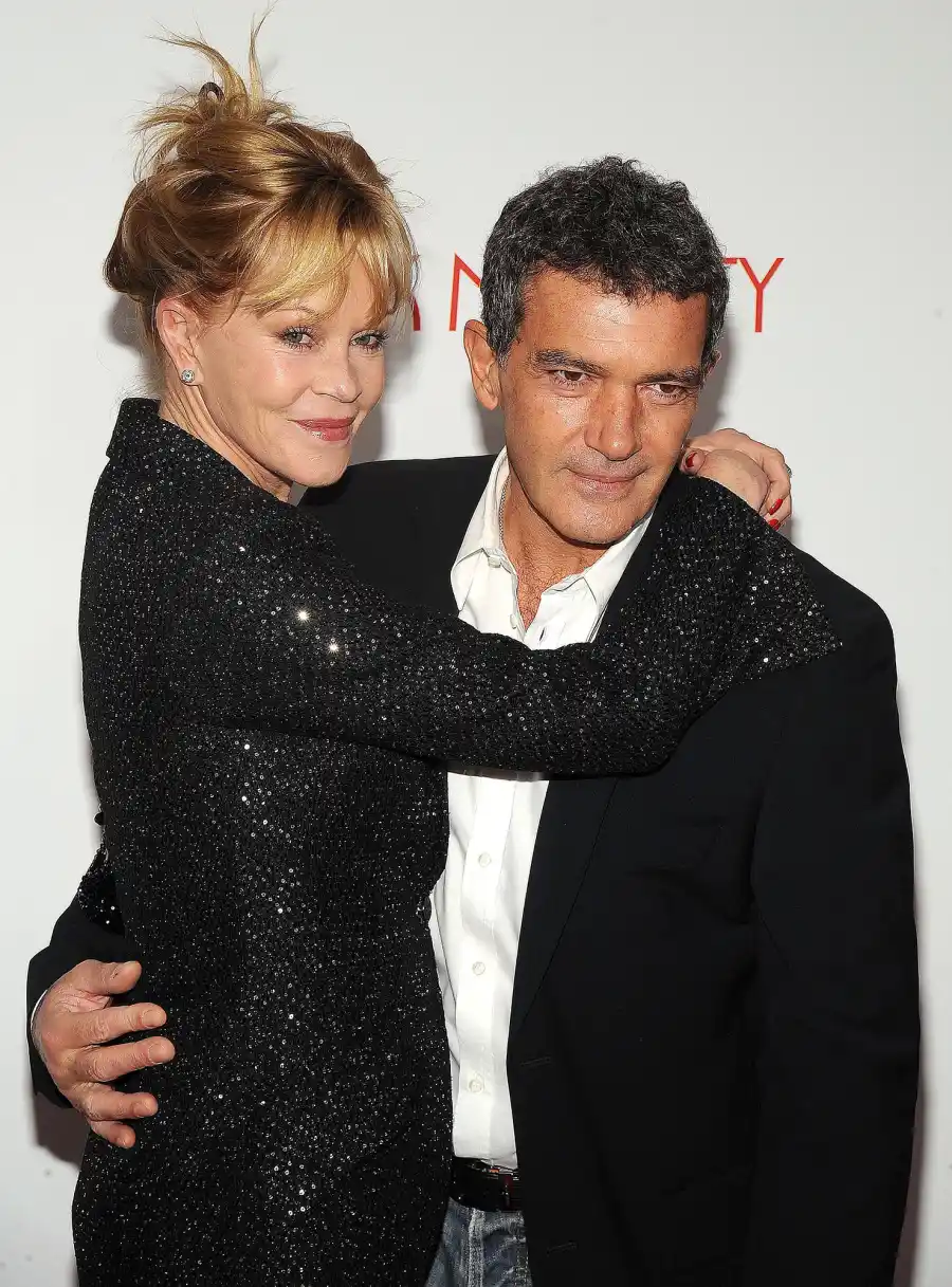 Couples Who Battled for Custody of Their Pets After Splitting Up