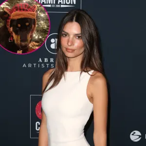 Emily Ratajkowski Puts Her Adorable Dog Colombo in Winter Hat