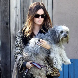 Funniest Celebrity Dog Names