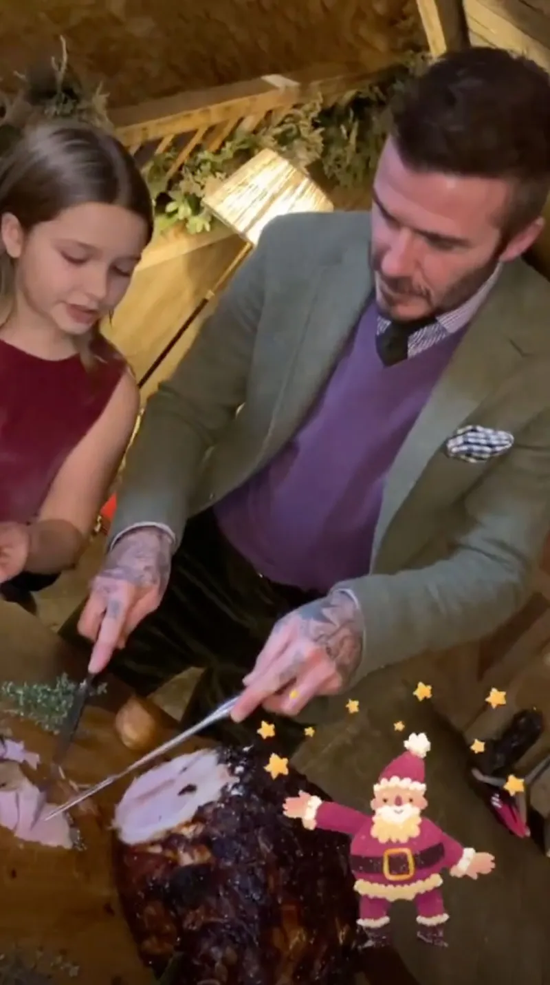 Beckham Christmas 2019 New Dog