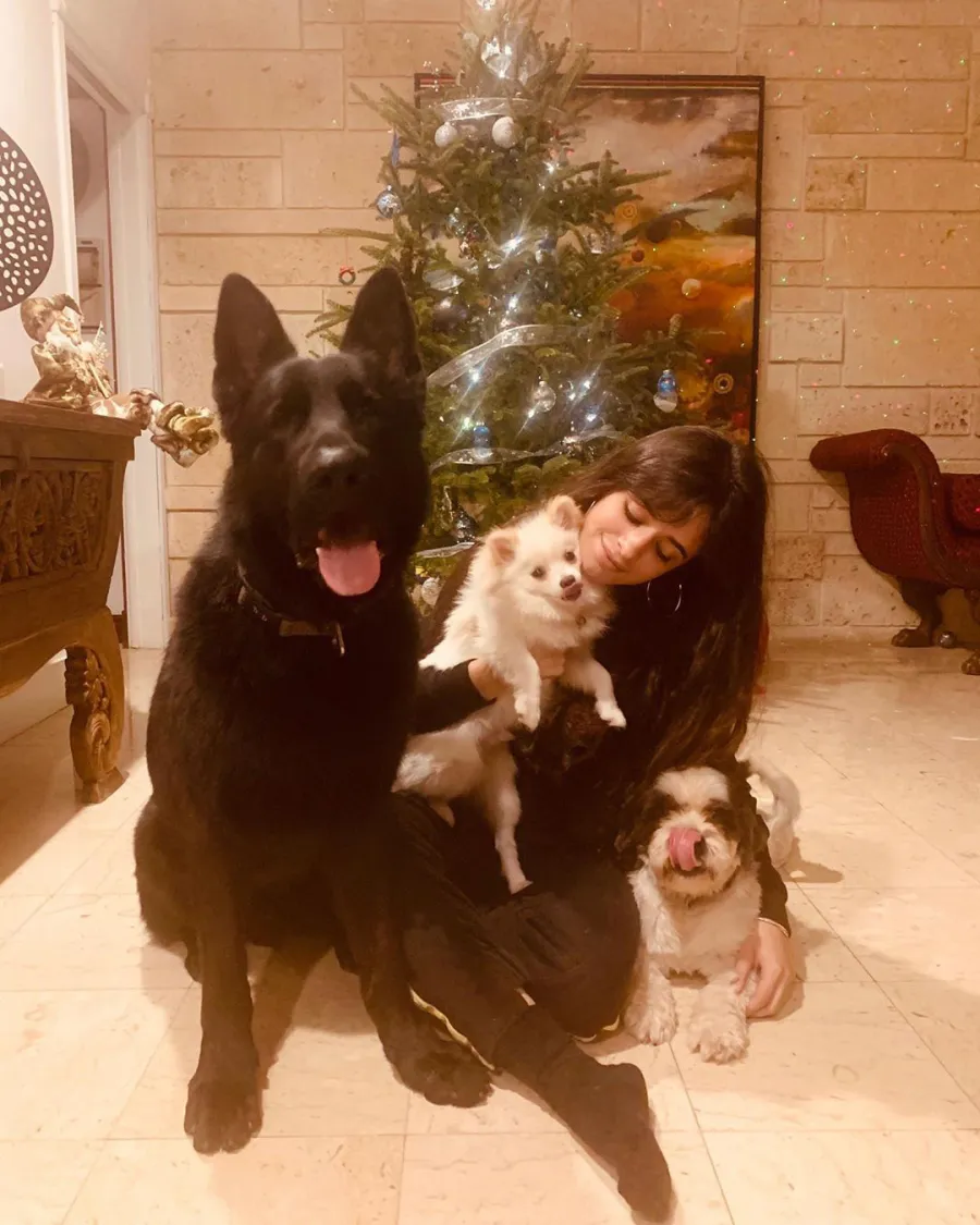 How Stars Celebrated Christmas in 2019