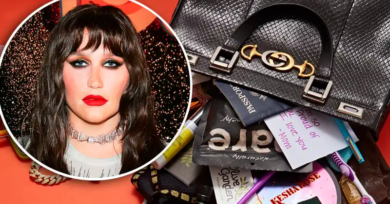 Kesha What's In My Bag