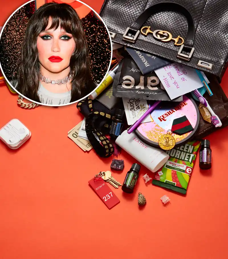 Kesha What's In My Bag