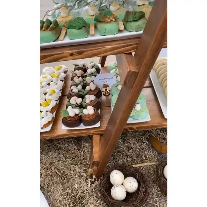 Khloe Kardashian Says Leftover Food From Kardashian Family Parties Is 'Always' Donated-Saint-Wests-Jurassic-Park-Birthday