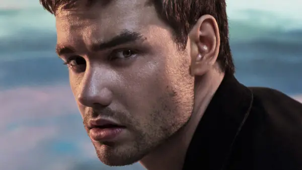 Liam Payne Album Review