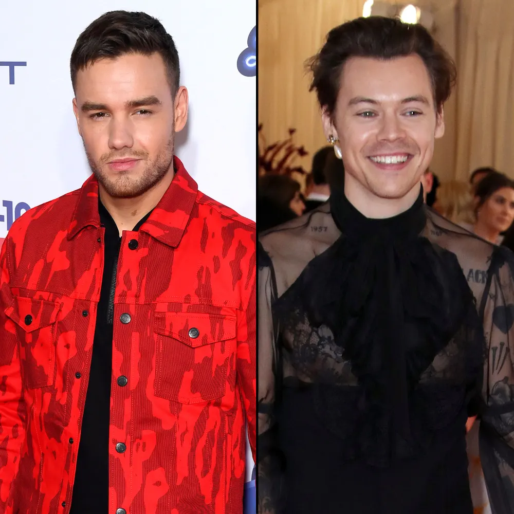 Liam Payne Says Harry Styles Is &lsquo;Polar Opposite&rsquo; of Him