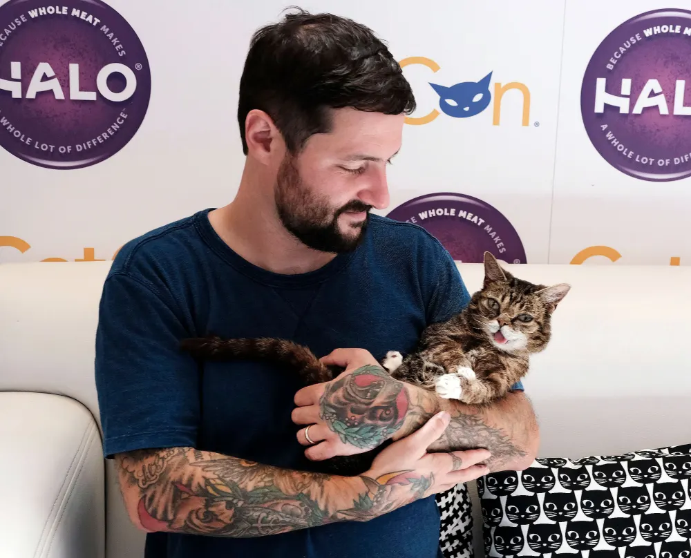 Lil Bub Dead Beloved Internet Cat Dies at 8