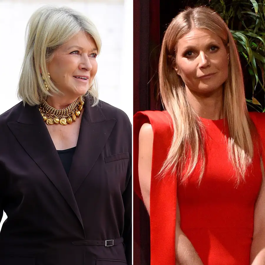 Martha Stewart and Gwyneth Paltrow Celebrity Feuds of 2010s