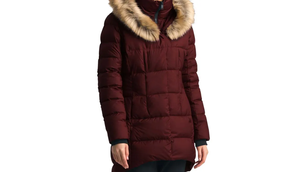 North Face Dealio 550 Fill Power Down Parka