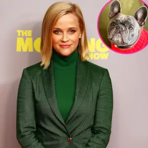 Reese Witherspoon Pup Pepper Share Bulldog-Themed Gifts They Love
