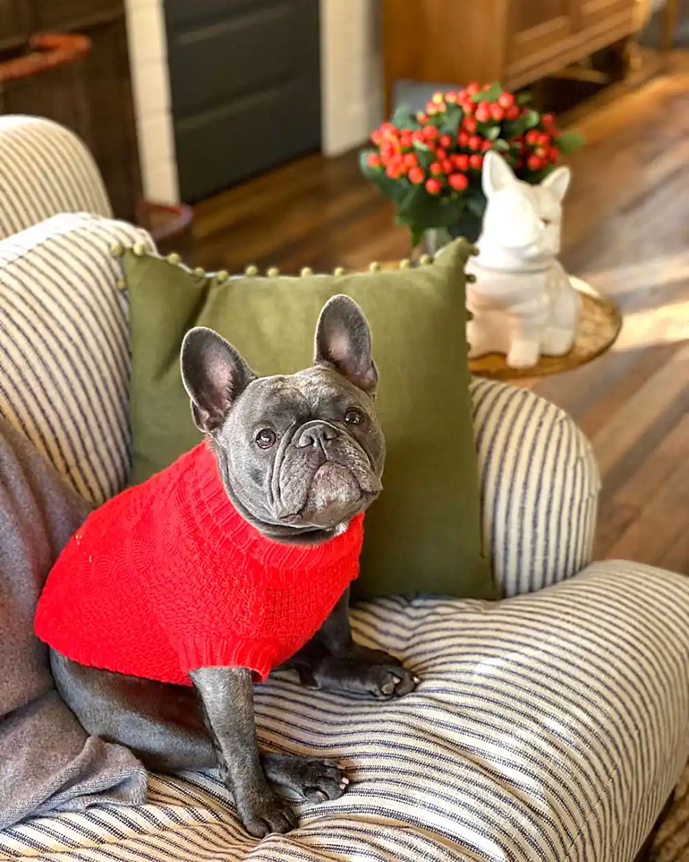 Reese Witherspoon Pup Pepper Share Bulldog-Themed Gifts They Love