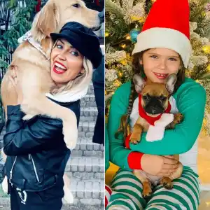 See Which Celebs Have Gifted Adorable Pups for Christmas