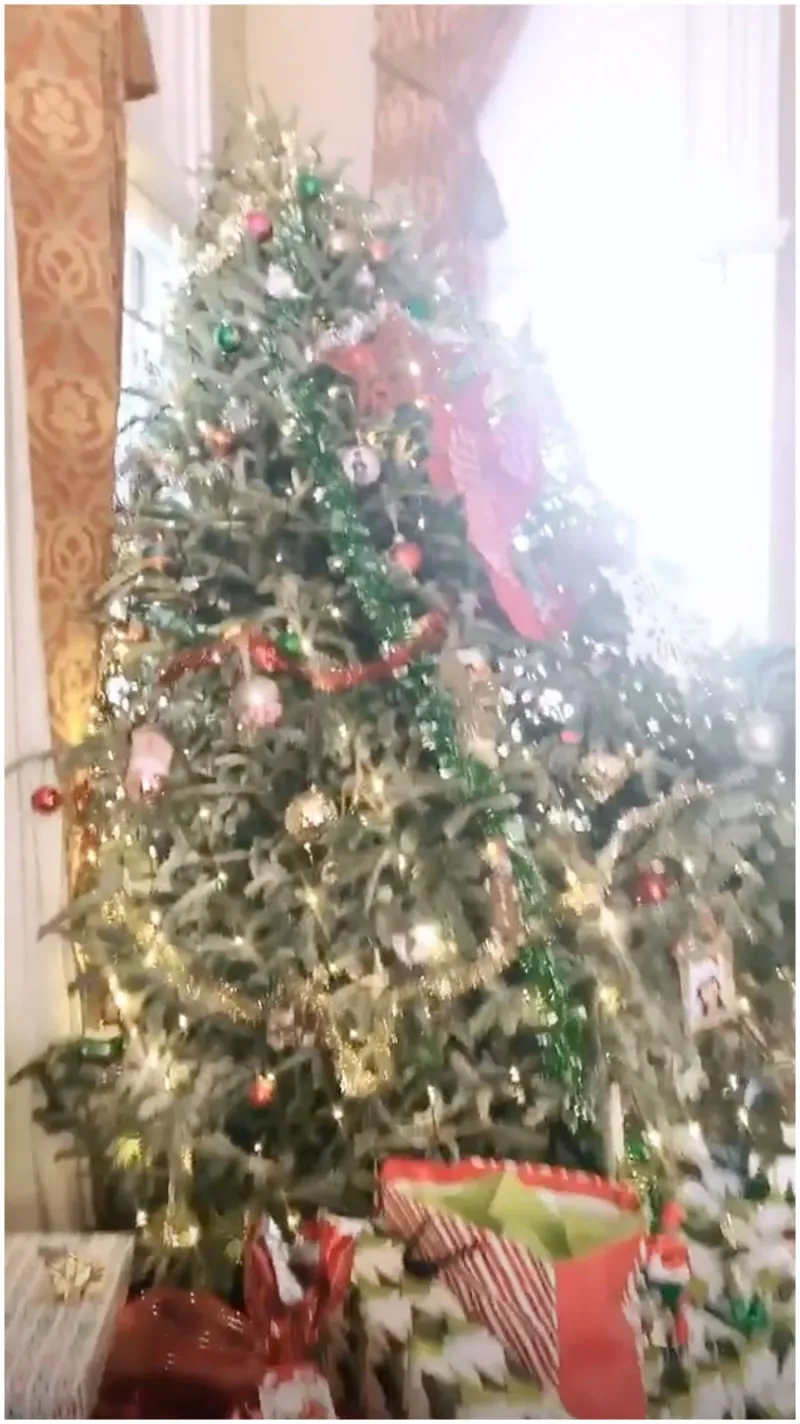 Snooki Cooks Christmas Eve Dinner With Jionni LaValle