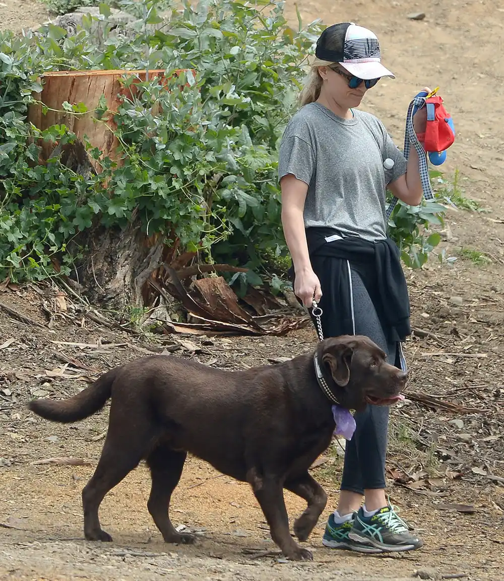 Stars Who&rsquo;ve Named Their Pets After Other Celebs