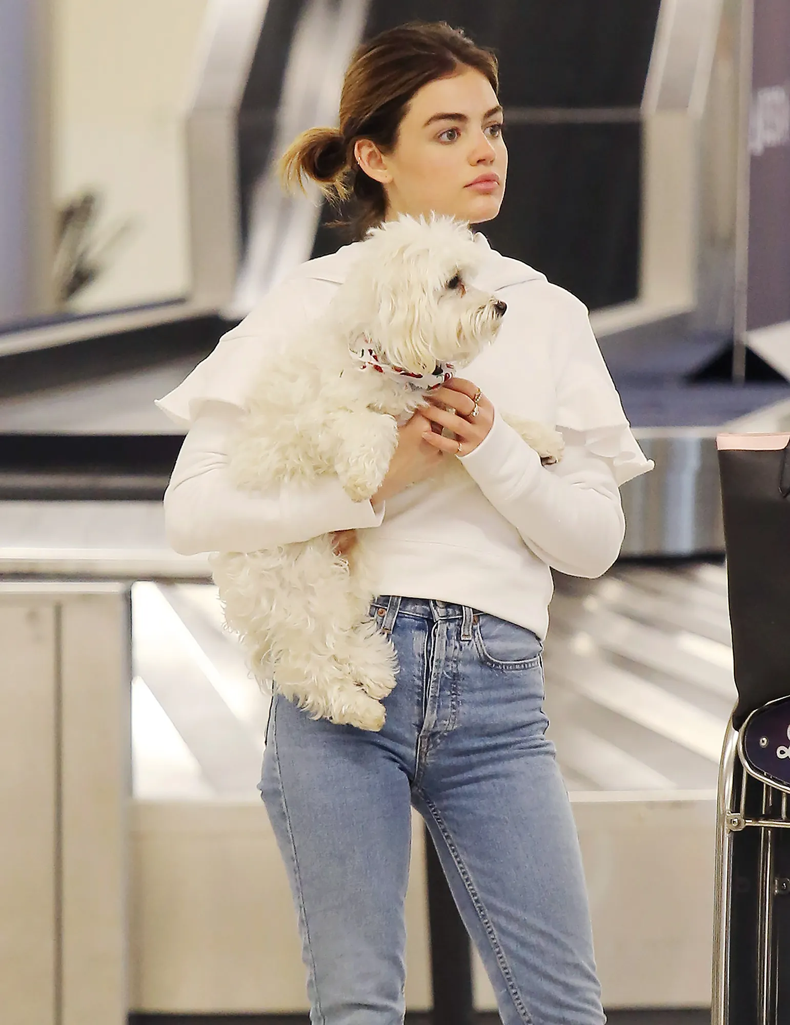 Stars Who’ve Named Their Pets After Other Celebs