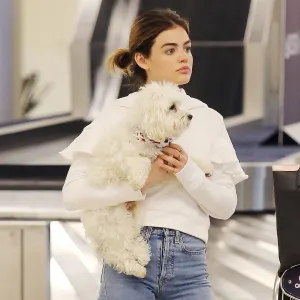 Stars Who’ve Named Their Pets After Other Celebs