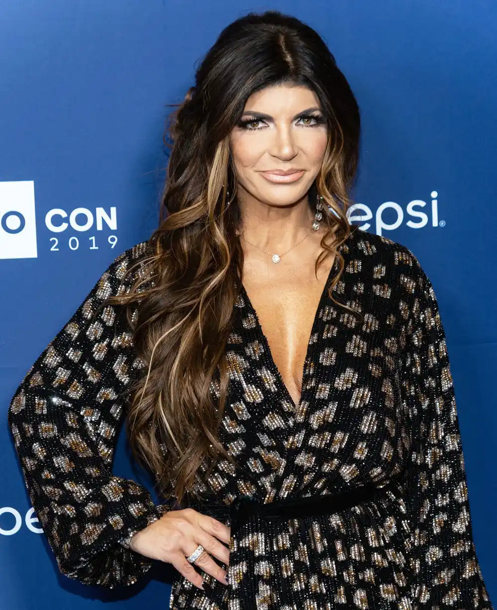 Teresa Giudices Ex Anthony Delorenzo Jokes Hes Going Incognito After Cozy Reunion