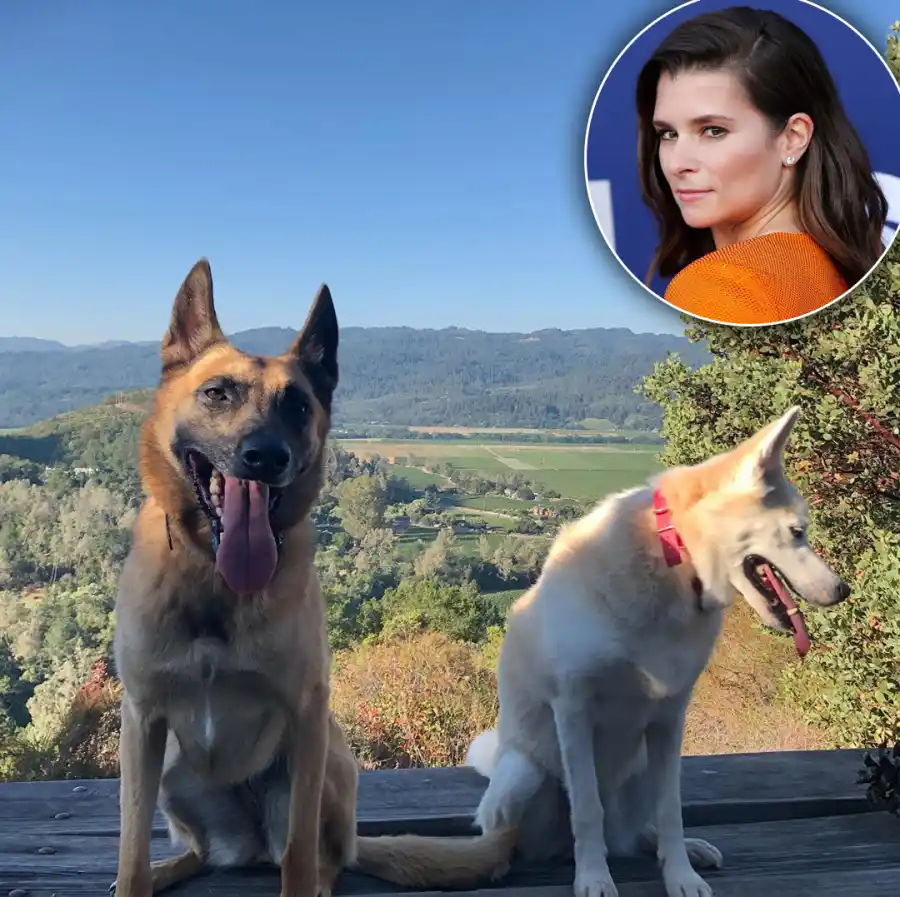 These Celebs Can’t Get Enough of Their Furry Friends