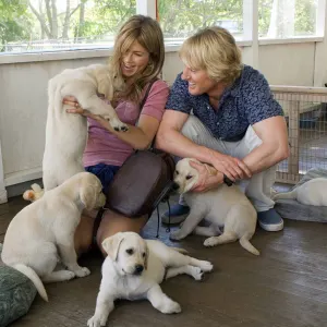 These Dog Movies Will Make You Cry Every Time