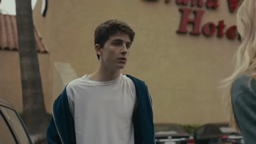 Timothee Chalamet Rise From Theater Kid to Critical Darling