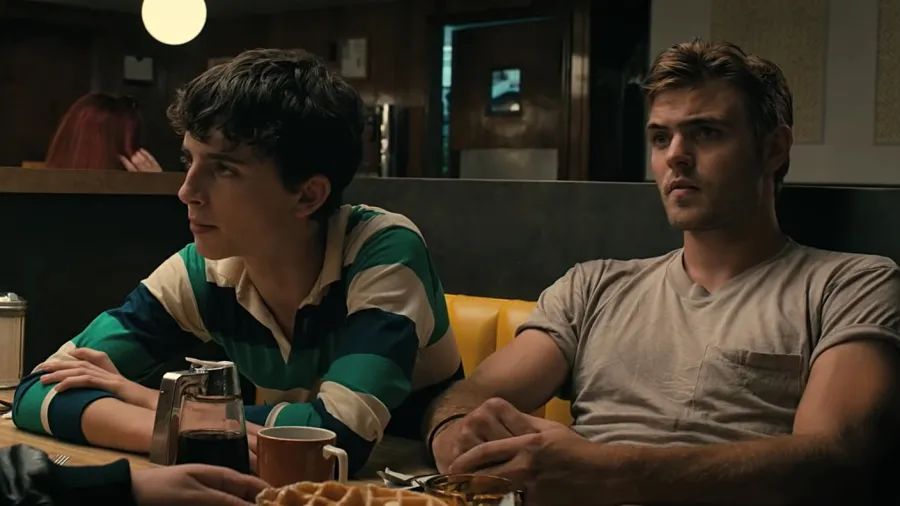 Timothee Chalamet Rise From Theater Kid to Critical Darling