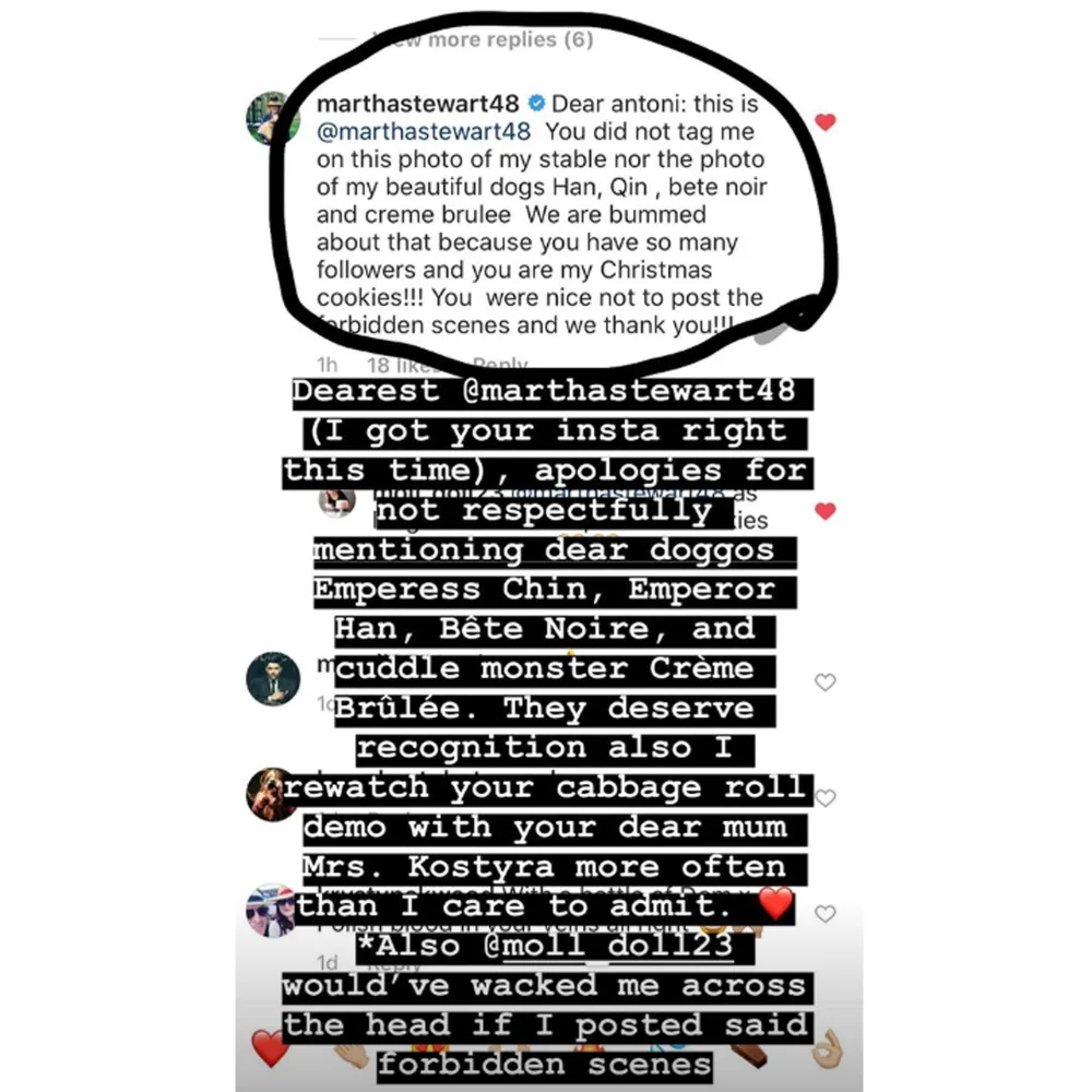 Why Martha Stewart Is Upset With Antoni Porowski&rsquo;s Instagram