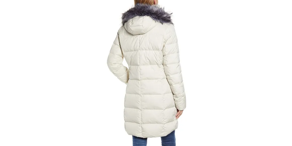 North Face Dealio 550 Fill Power Down Parka