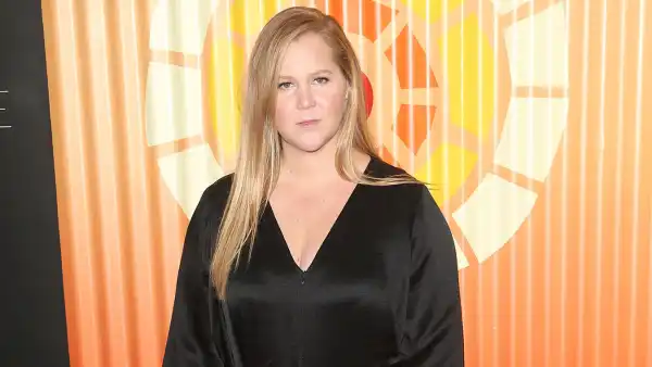 Amy Schumer Run Down After IVF Wearing Rachel Comey