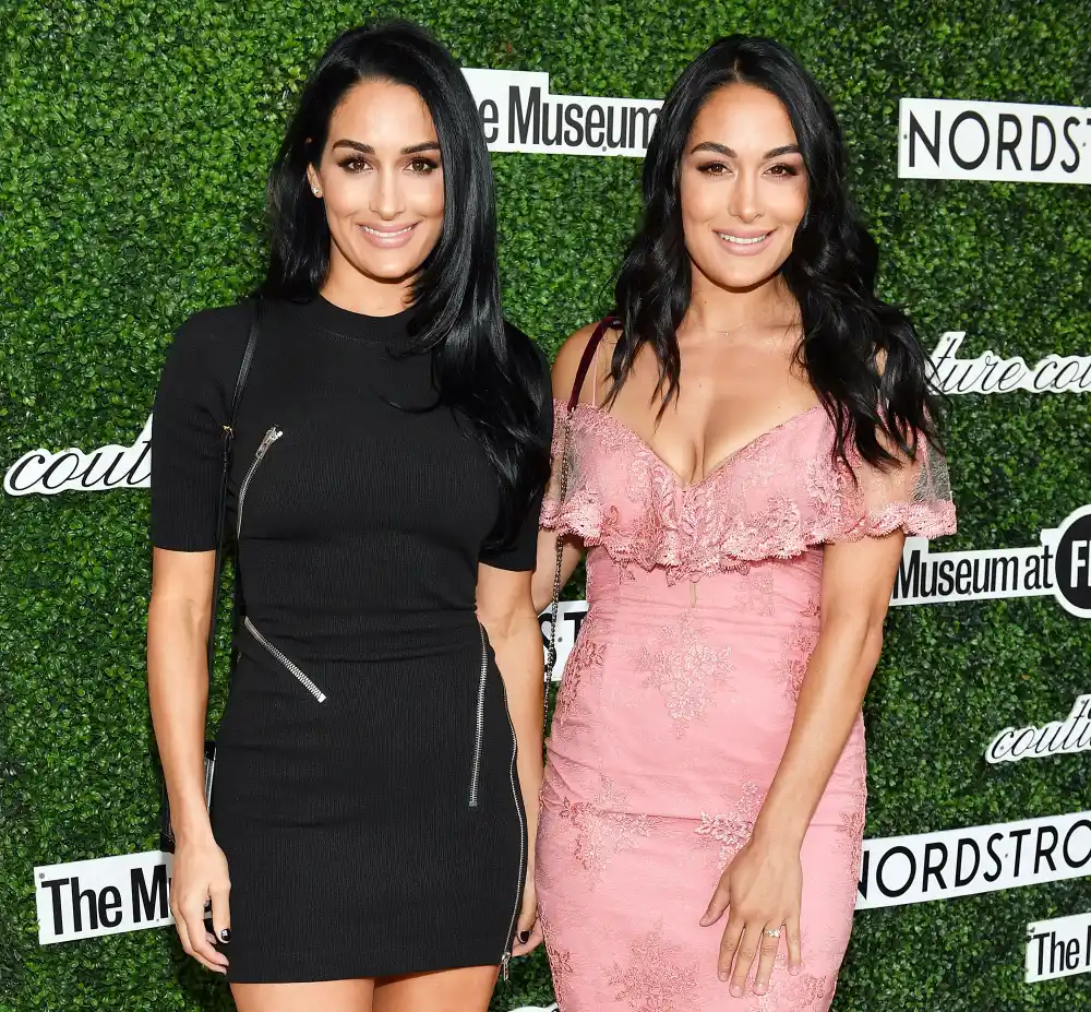 Brie Bella and Nikki Bella Are Both Pregnant