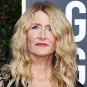Golden Globes 2020 Makeup - Laura Dern