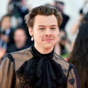 Harry Styles Watched a Dog While Its Owner Ran Into a Restaurant