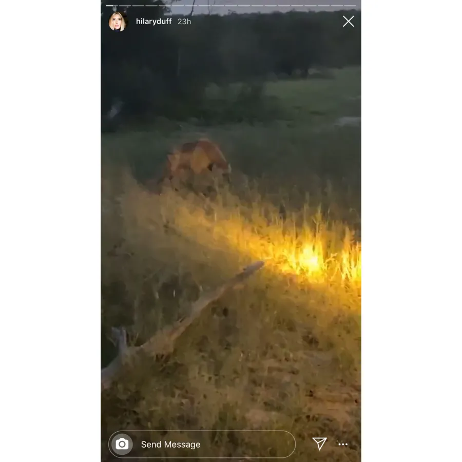 Hilary Duff Honeymoon updates