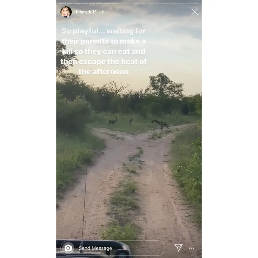 Hilary Duff Honeymoon updates