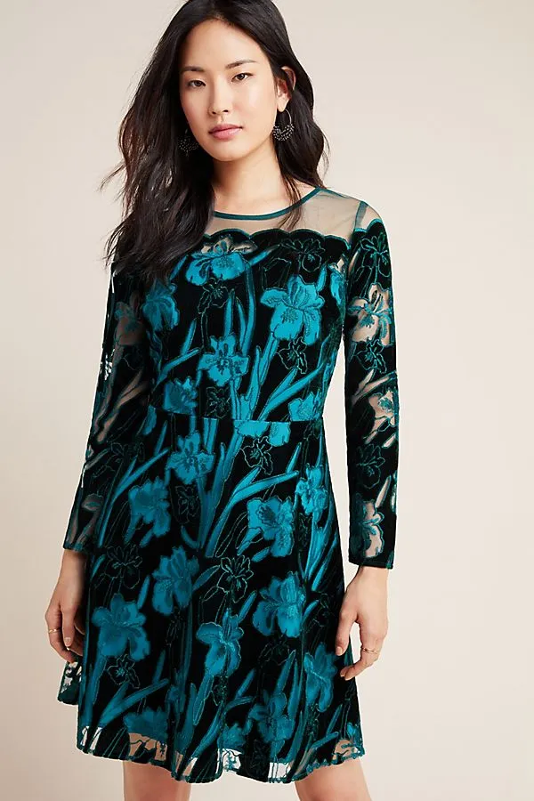 Juliet Embroidered Velvet Mini Dress