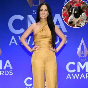 Kacey Musgraves CMA Awards Rescue Puppy