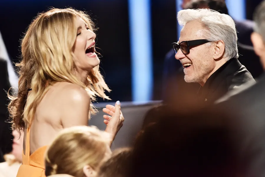 Laura Dern and Harvey Keitel Inside the Critics Choice Awards 2020