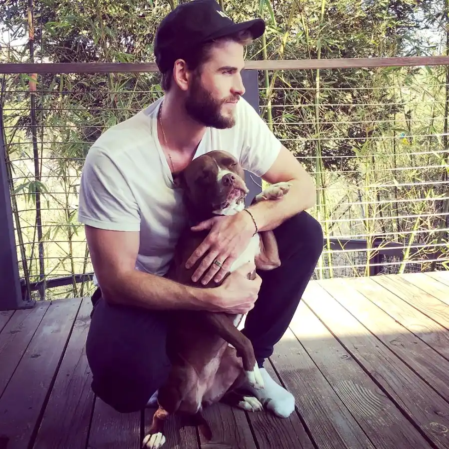 Liam Hemsworth Hottest Moments