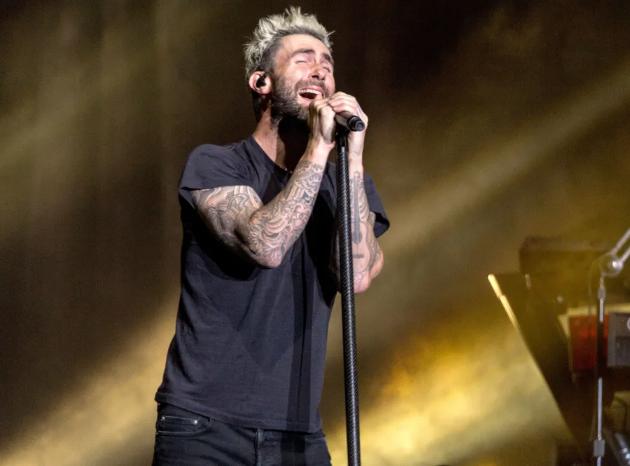 Must-See 2020 Concert Tours