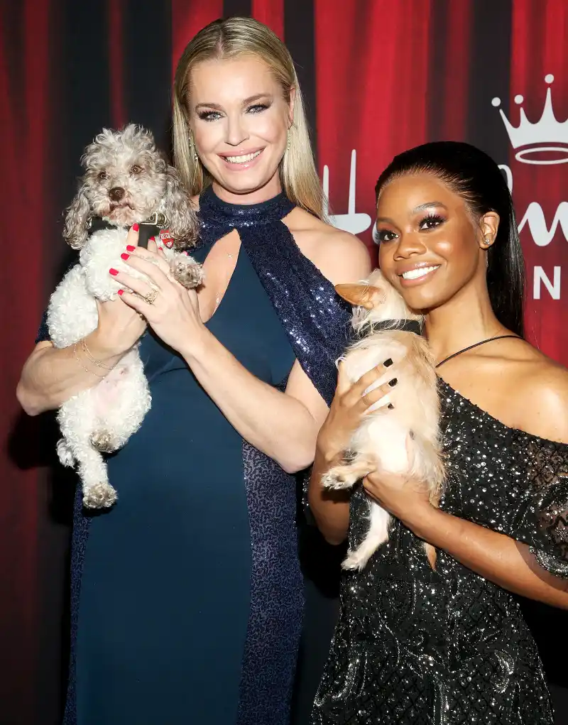 American Rescue Dog Show